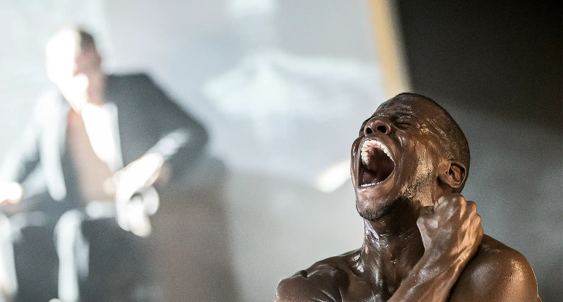 About Slovenské Divadlo Tanca