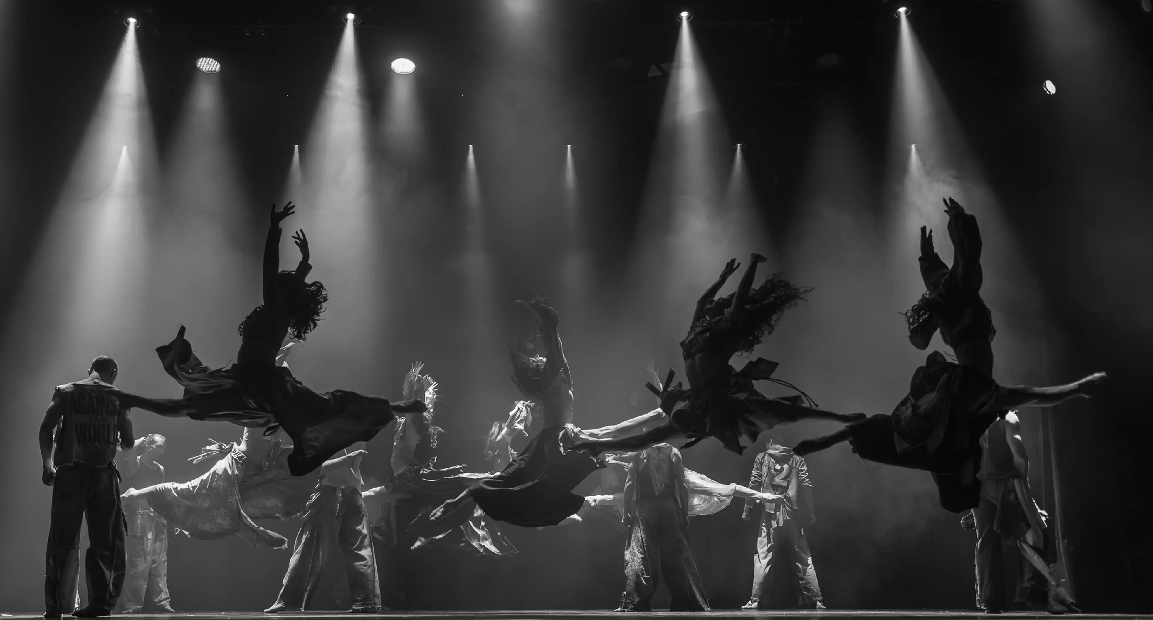 About Slovenské Divadlo Tanca